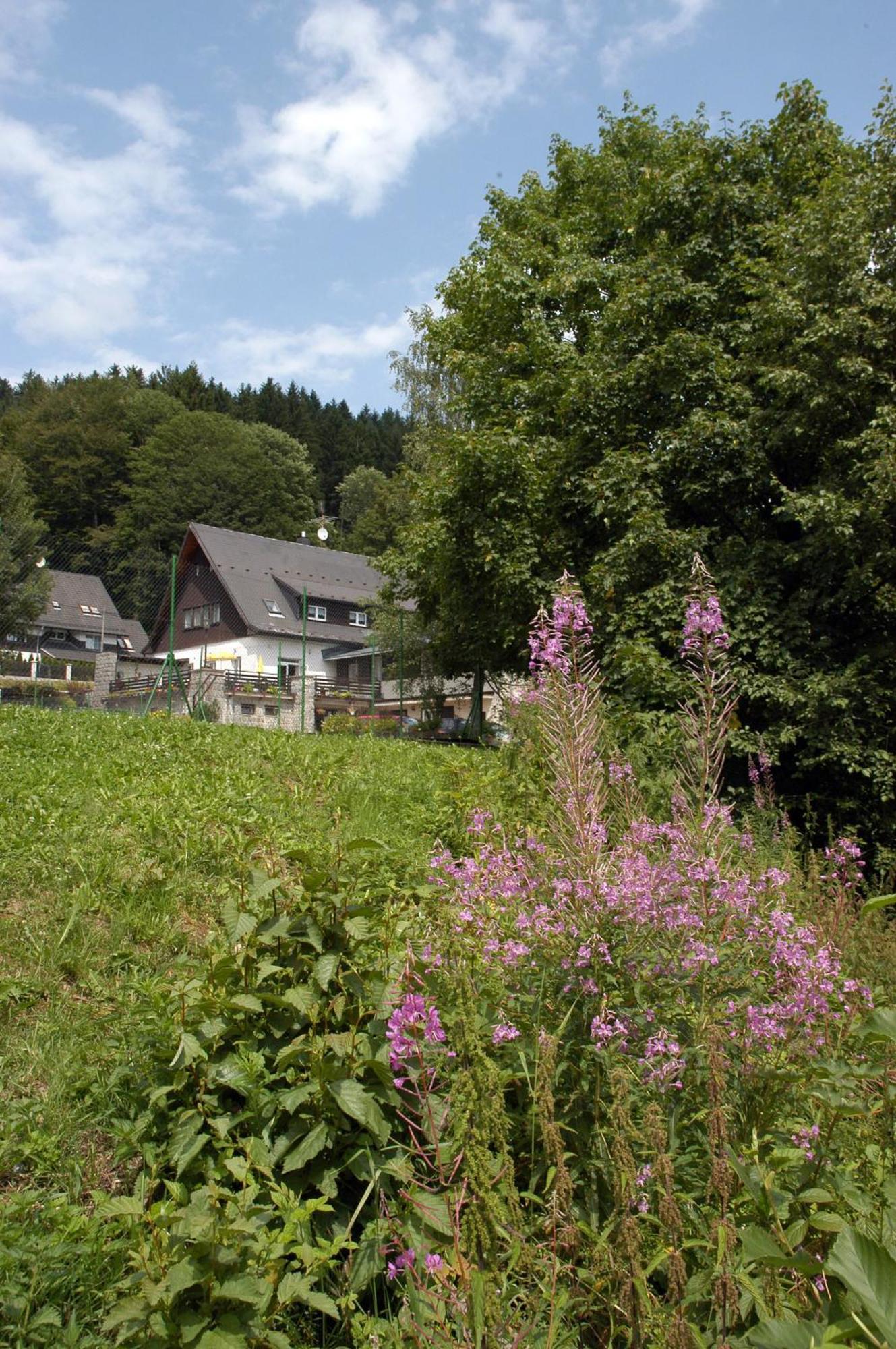 Penzion Bobešova bouda Železná Ruda Esterno foto